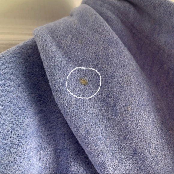 Calvin Klein Periwinkle Hoodie - Picture 7 of 10